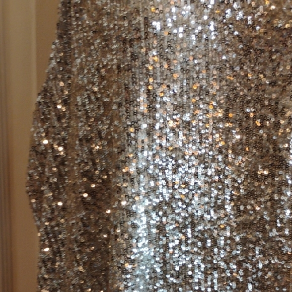 Daytrip Silver Sequin Tank Top - Picture 6 of 15